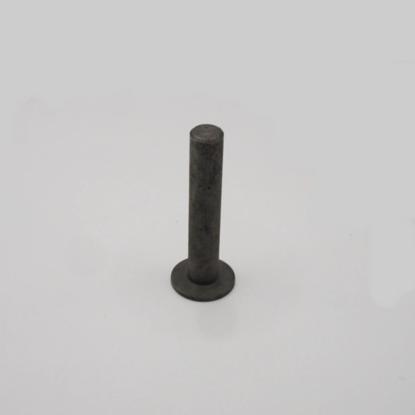 Startrite Spring Pivot Pin spare, used in the V900 / 316 Top Bracket