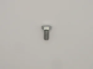 Hex Head Screw, common to many Startrite saws