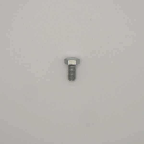 Hex Head Screw, common to many Startrite saws